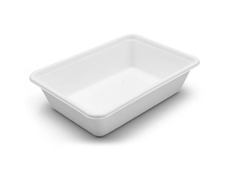 Sugarcane Pulp Compostable Food Safe Eco Friendly Bagasse Biodegradable Food Container