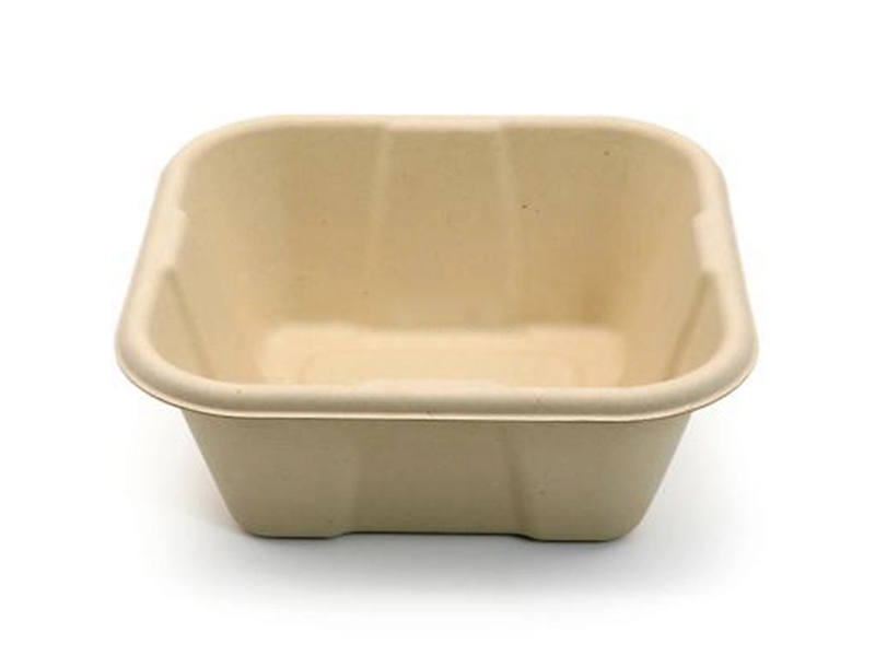 Eco Friendly Square Sugarcane Bagasse Biodegradable Compostable Food Container