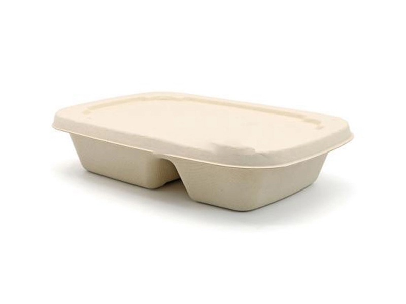 Disposable To-go Bagasse Biodegradable Food Container