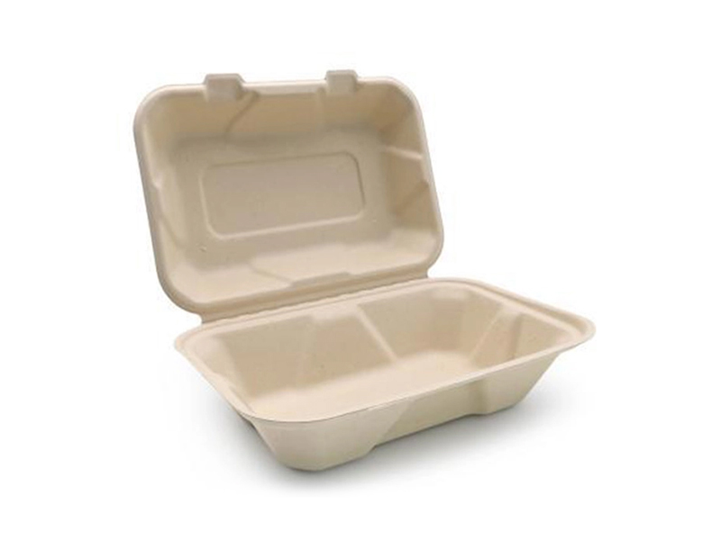 100% Compostable Disposable Take out Sugarcane Bagasse Pulp Paper Food Container