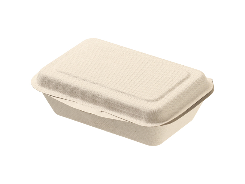 Biodegradable Tableware Disposable Carry-out Compostable Sugarcane Food Container