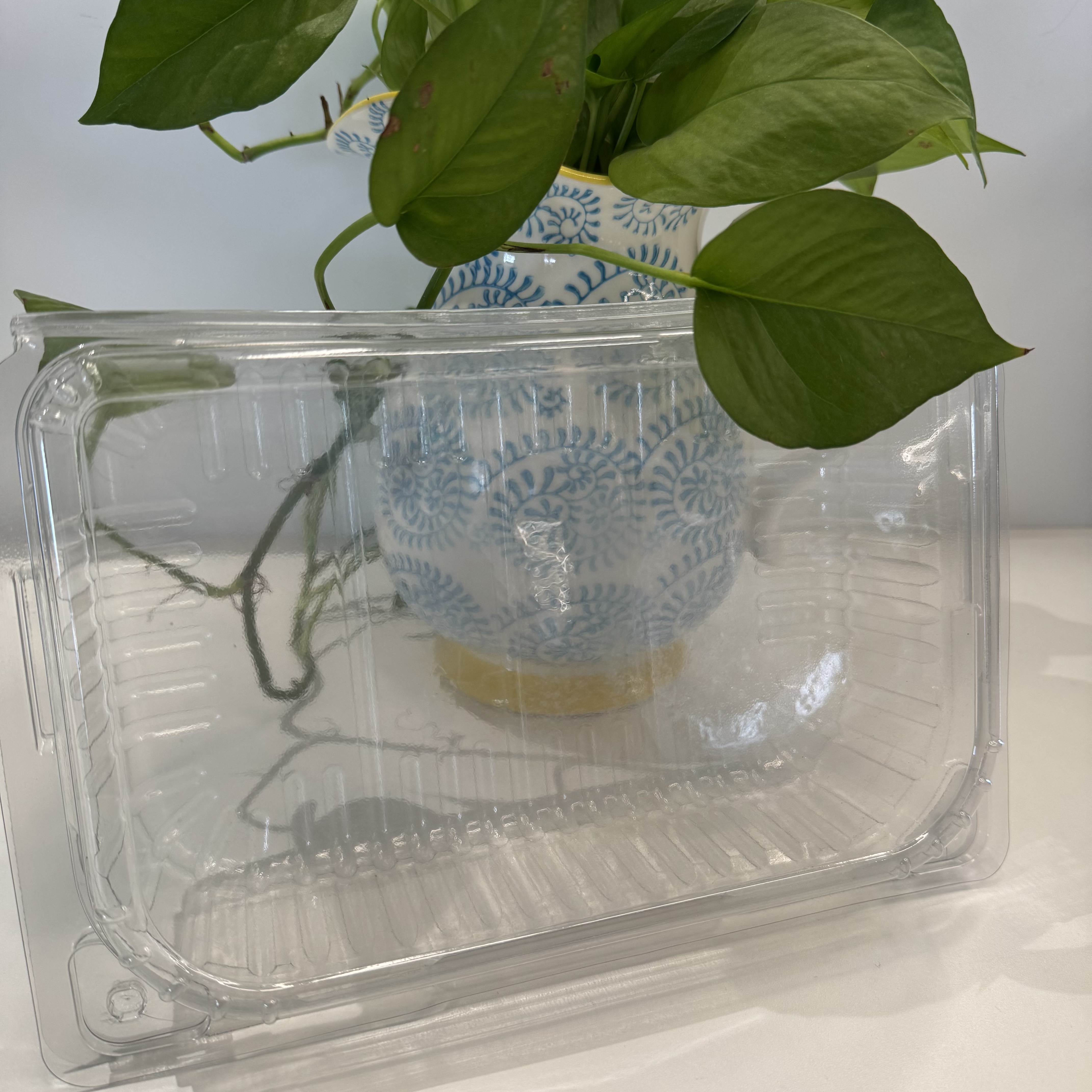 Food-Grade Clear PET Meat Trays for Supermarket Fresh Food Packaging and Display