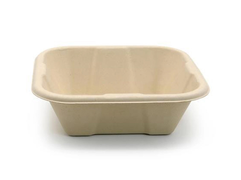 Biodegradable Tableware Disposable Carry-out Compostable Sugarcane Food Container