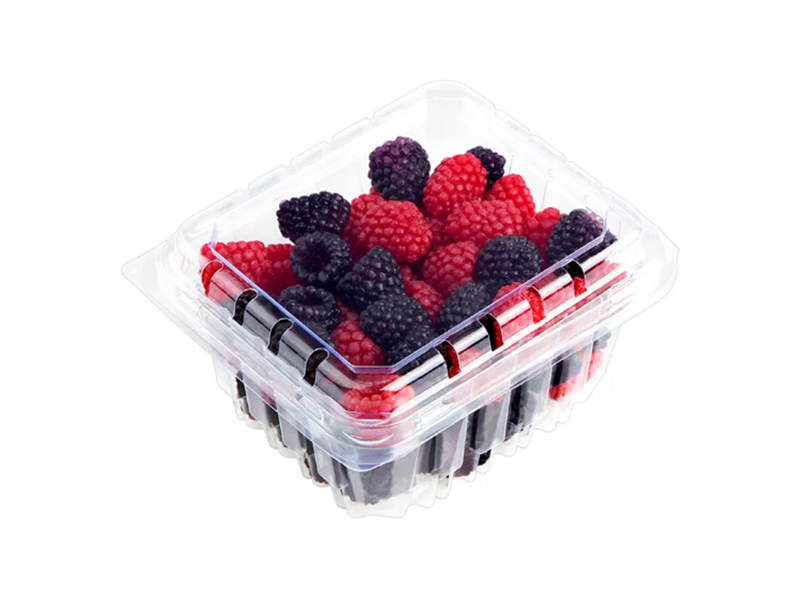 Disposable Clear PET Rectangle Take Away Food Fruit Salad Container With Lids
