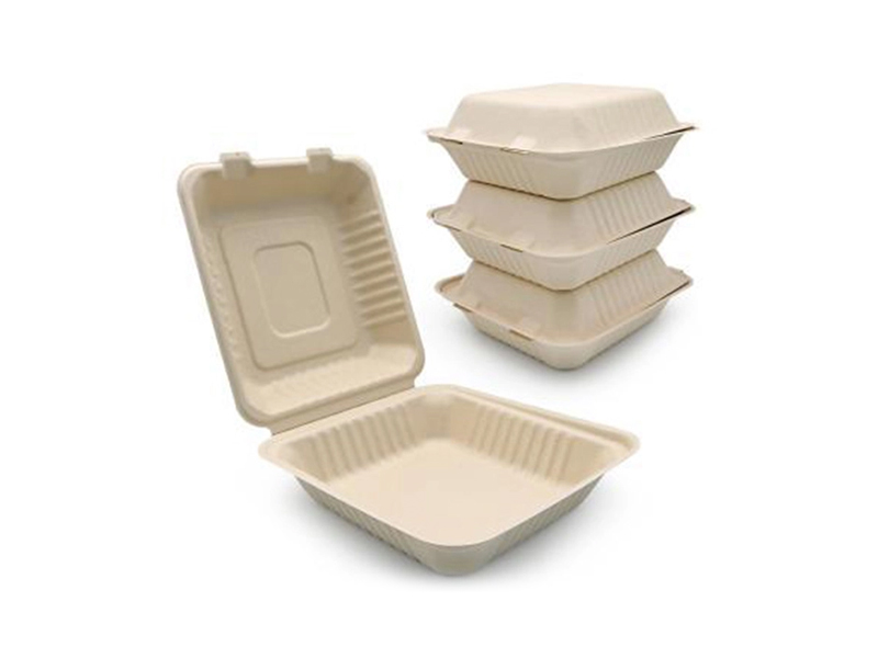 100% Compostable Disposable Take out Sugarcane Bagasse Pulp Paper Food Container