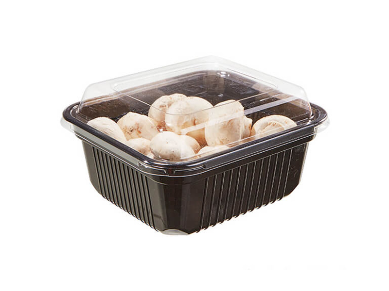Rectangle PET Vegetable Tray – Greens Fresh Keeping Packaging Tray