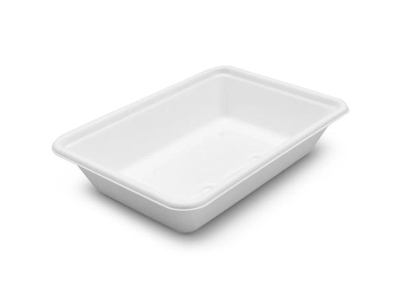 Sugarcane Pulp Compostable Food Safe Eco Friendly Bagasse Biodegradable Food Container