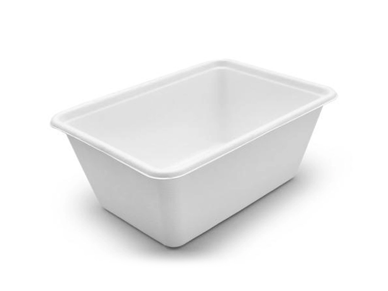 Sugarcane Pulp Compostable Food Safe Eco Friendly Bagasse Biodegradable Food Container
