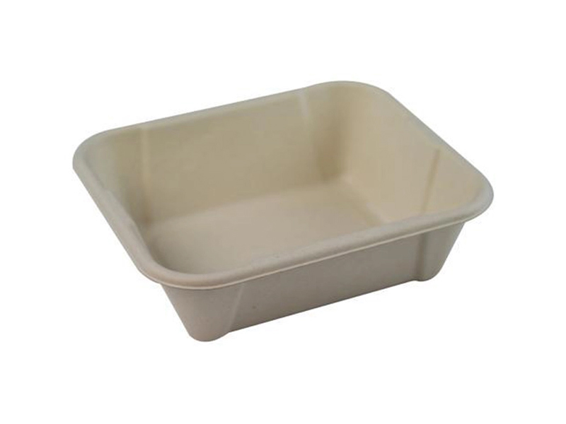 Eco Friendly Square Sugarcane Bagasse Biodegradable Compostable Food Container
