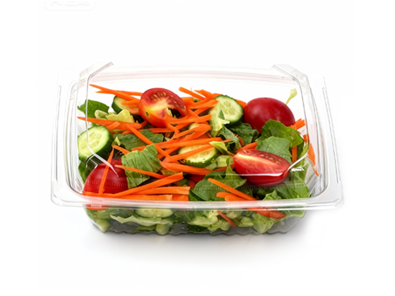 Disposable Clear PET Rectangle Take Away Food Fruit Salad Container With Lids