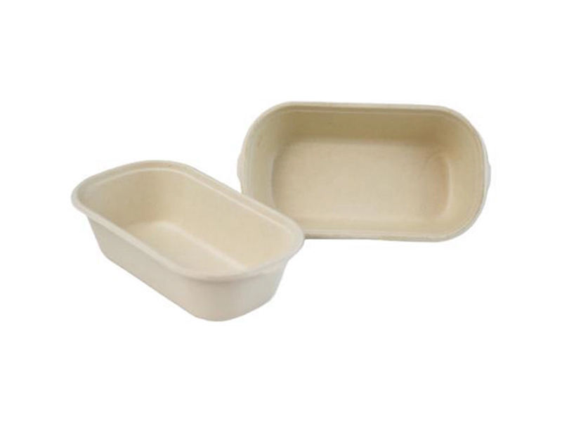 Disposable To-go Bagasse Biodegradable Food Container