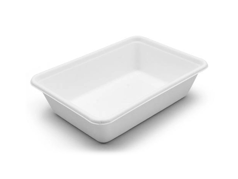 Disposable To-go Bagasse Biodegradable Food Container