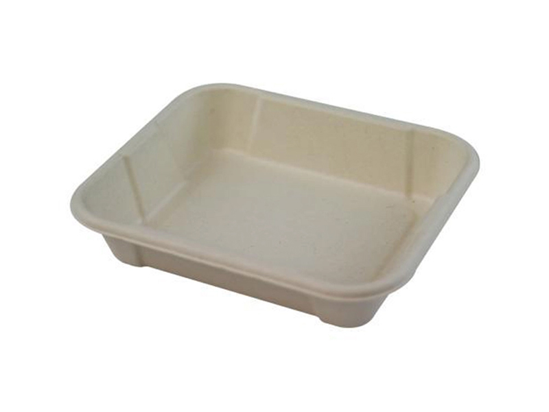 Eco Friendly Square Sugarcane Bagasse Biodegradable Compostable Food Container
