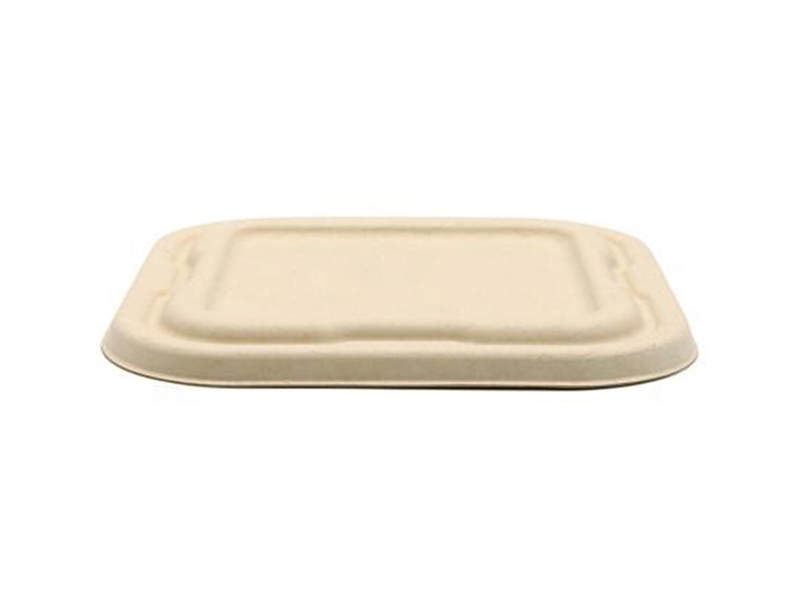 Disposable To-go Bagasse Biodegradable Food Container