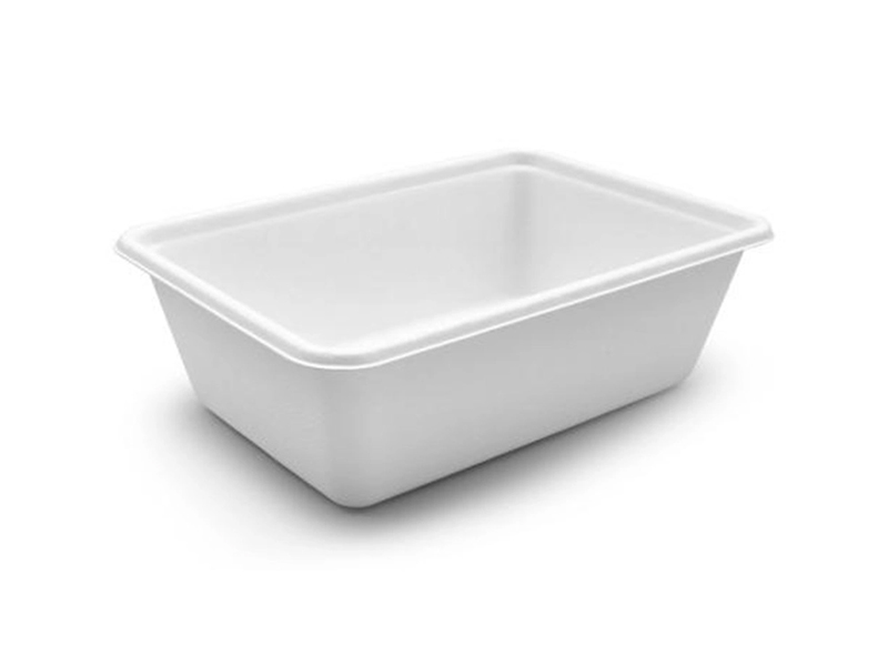 Sugarcane Pulp Compostable Food Safe Eco Friendly Bagasse Biodegradable Food Container