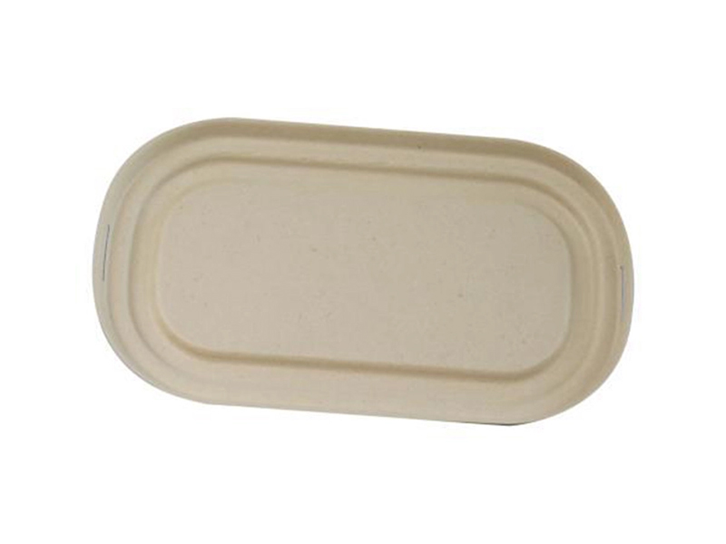 Disposable To-go Bagasse Biodegradable Food Container