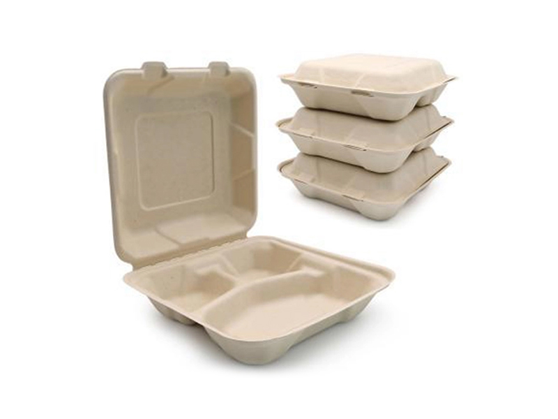 100% Compostable Disposable Take out Sugarcane Bagasse Pulp Paper Food Container