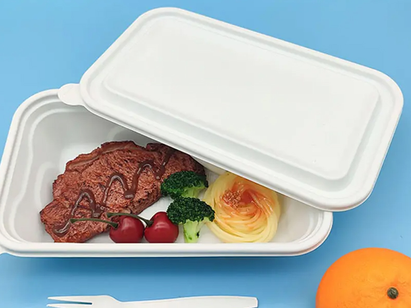 Biodegradable PLA Food Packaging Meat Tray