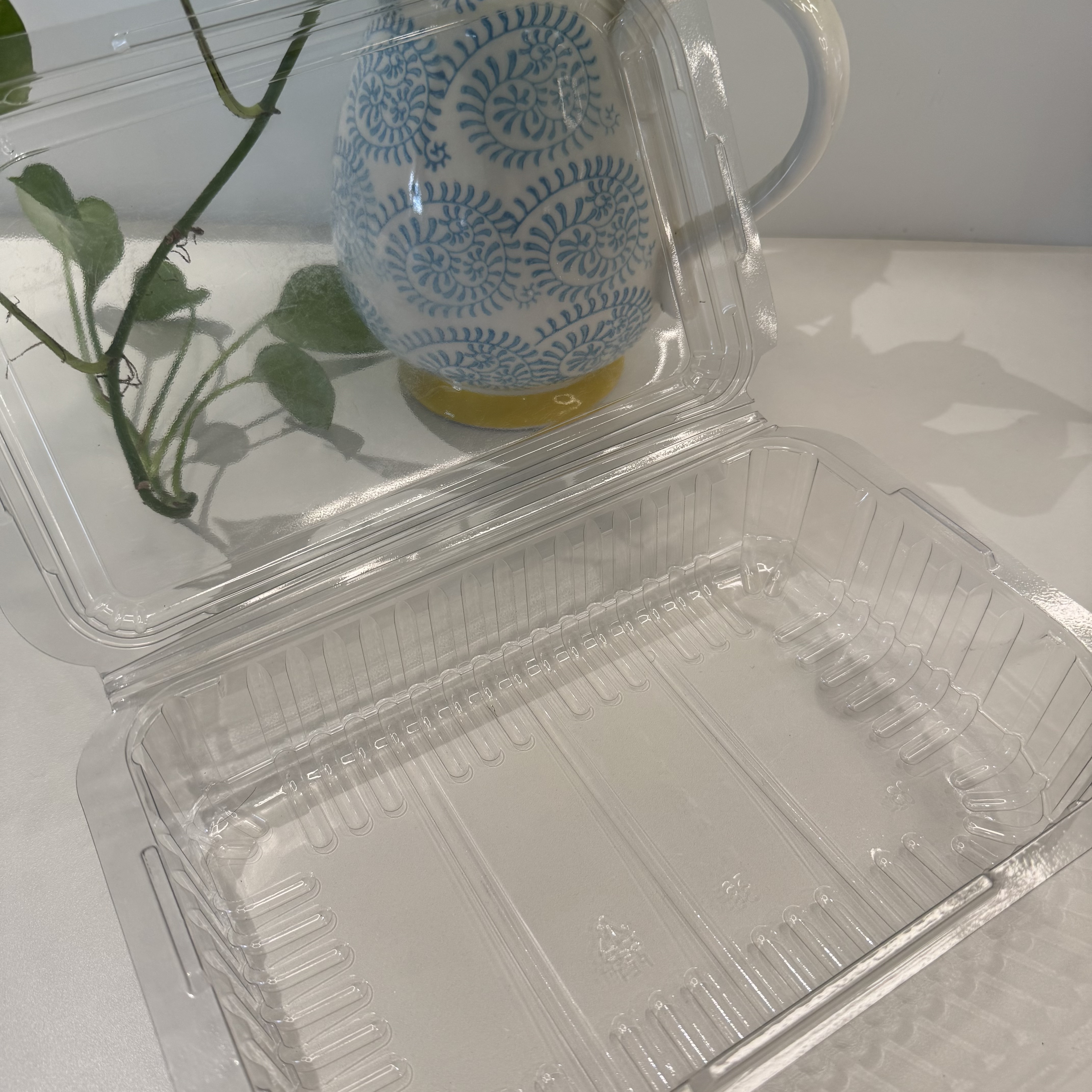Food Grade PET Meat Tray Clear Plastic Packaging for Supermarket